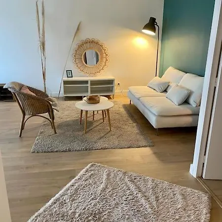 Beau 3 Pieces Cosy Avec Parking Et Terrasse Бордо
